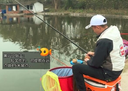2019第11集 生口大鲤鱼