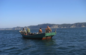 海钓船钓相比于传统钓和悬坠钓有哪些不一样？