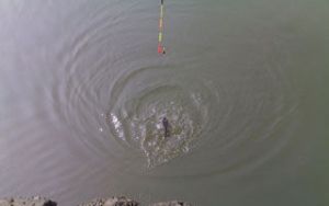 溪流跑漂钓法的浮漂选用