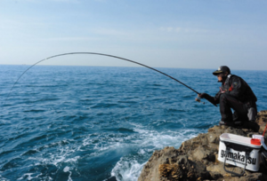 钓草鱼常用的方法