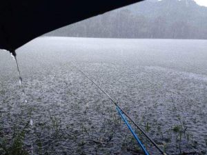 中雨不要钓鱼