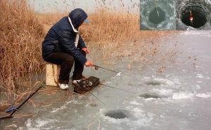 冬季对钓鱼的影响